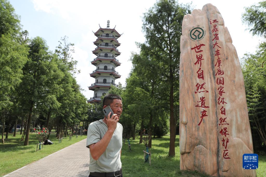 金沙网络平台网站